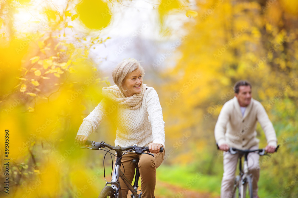 Obraz premium Active seniors riding bikes