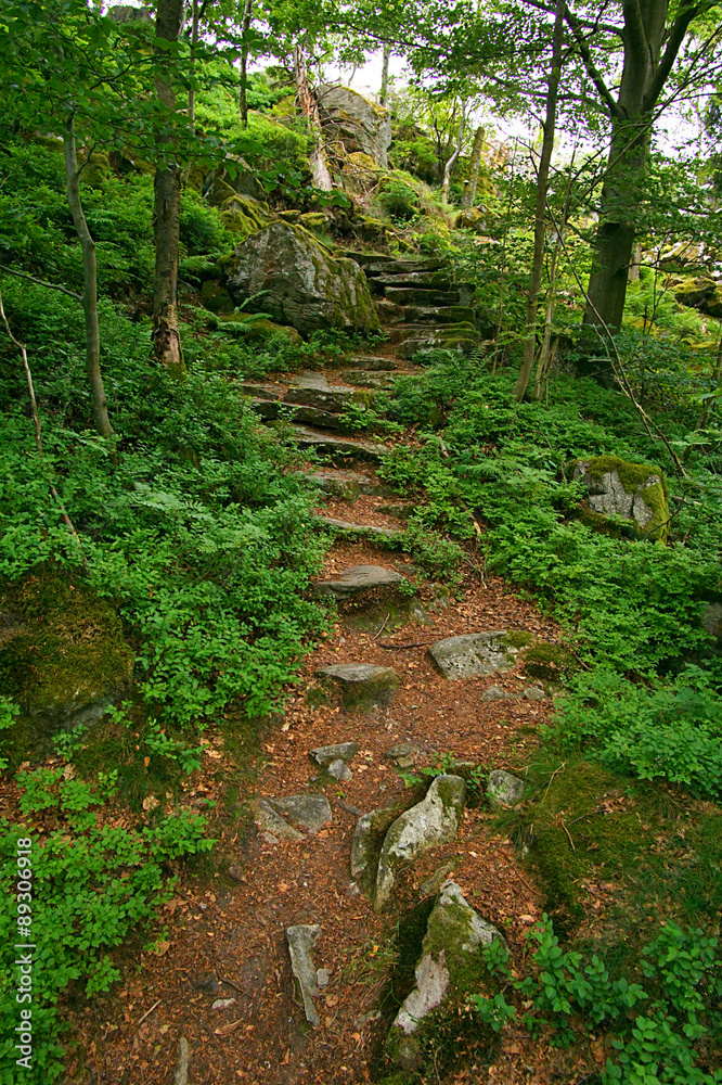 Steinwand, Naturschutzgebiet Rhön Steinwand, Naturschutzgebiet Rhön