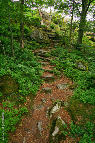 Steinwand, Naturschutzgebiet Rhön