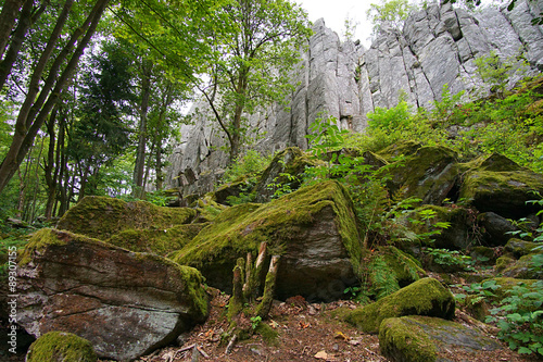 Steinwand, Naturschutzgebiet Rhön