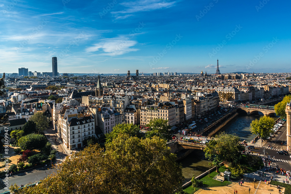 Paris Panorama. View from Cathedral Notre Dame de Paris. France. Paris Panorama. View from Cathedral Notre Dame de Paris. France.