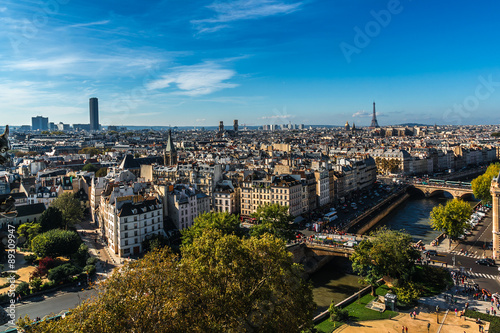 Paris Panorama. View from Cathedral Notre Dame de Paris. France. © dbrnjhrj