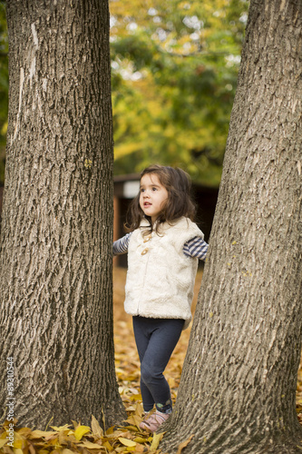 Little girl at the autumn park