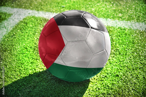 football ball with the national flag of palestine photo