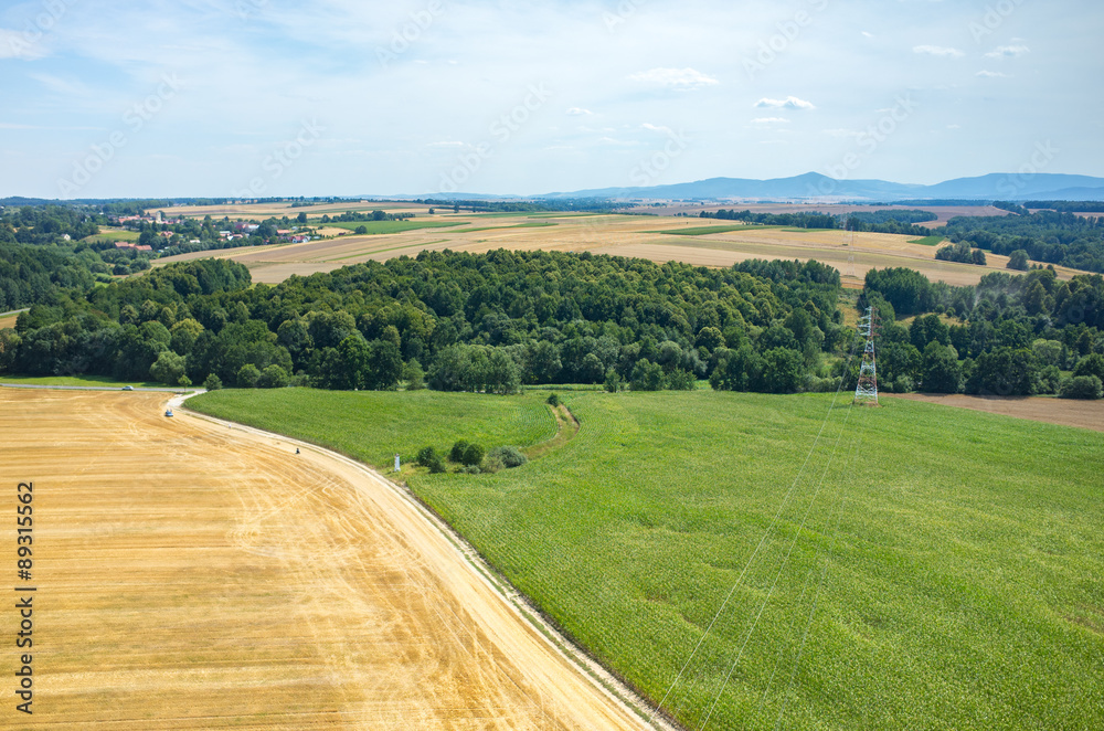 Powerlines on wheat field