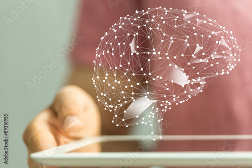 brain network