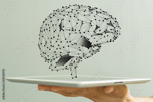 brain network