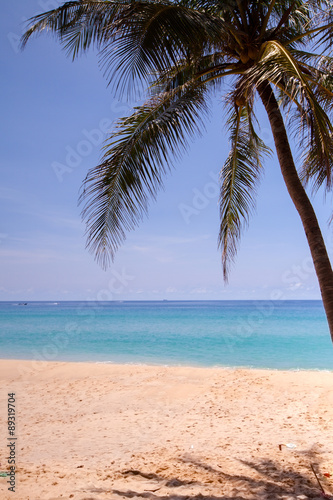 Fototapeta Naklejka Na Ścianę i Meble -  View of nice tropical beach.