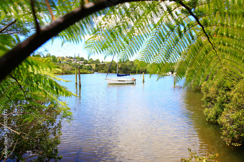 Beautiful water view in New Zealand. photo