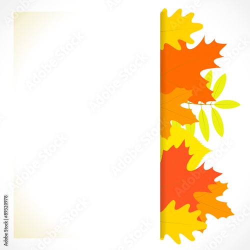 Greeting card with autumn leaves on the background, in vector