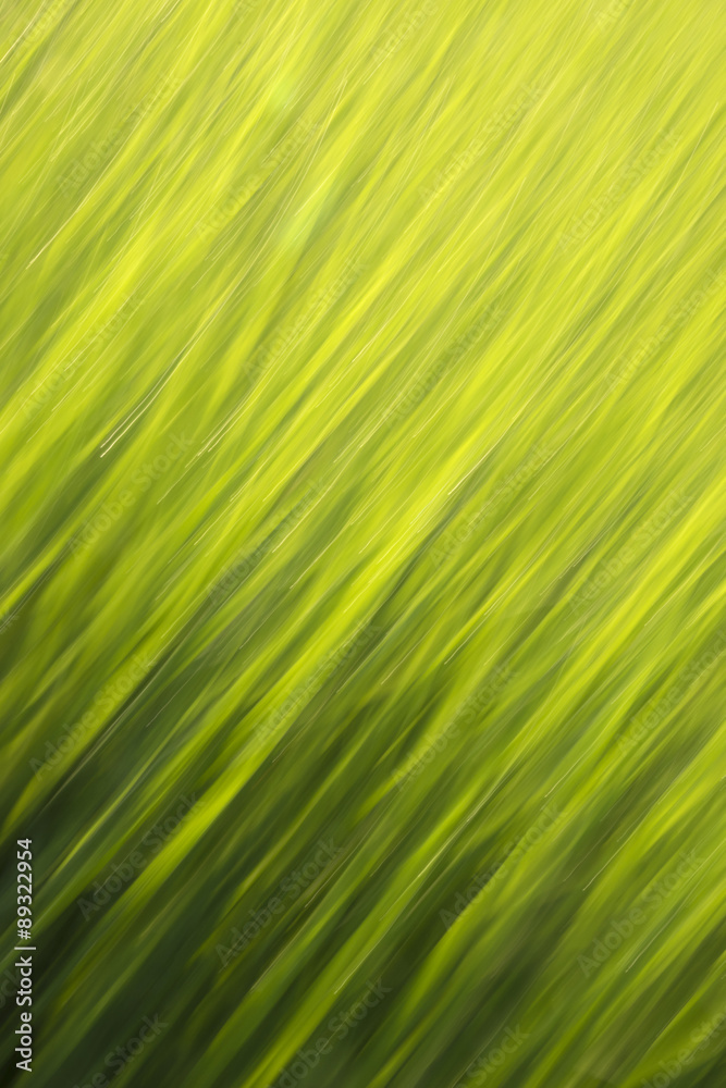 Diagonal motion blur grass abstract Diagonal motion blur grass abstract