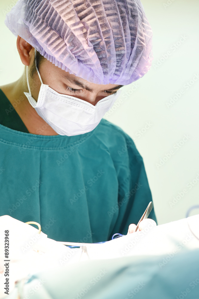 Fototapeta premium veterinarian surgery in operation room