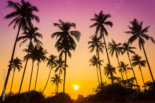 Sillouette of coconut tree during sunrise