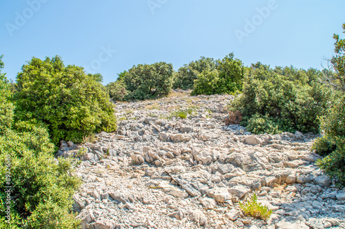 Rocky Mediterranean landscape with bushes and some trees on a bright sunny day
