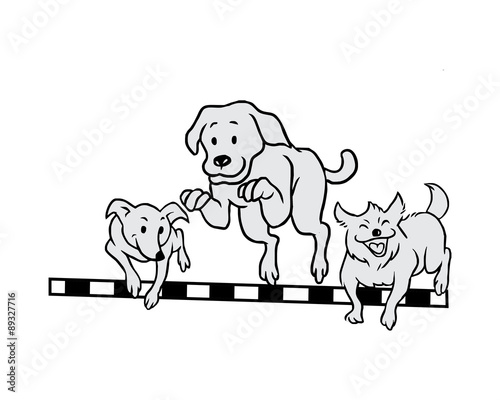dogs running
