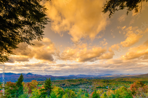 Fall foliage landscape.