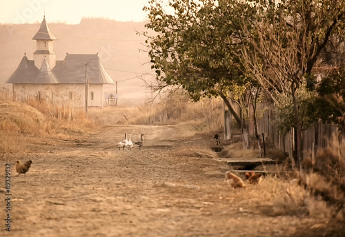 Geese on the village road