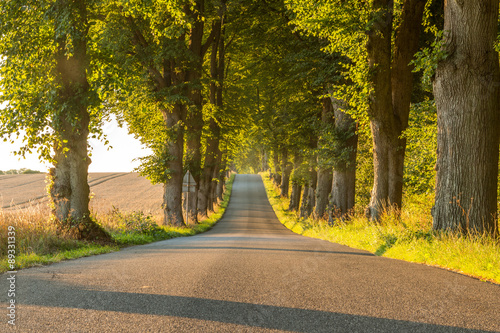 Road in countryside with green trees and a hill