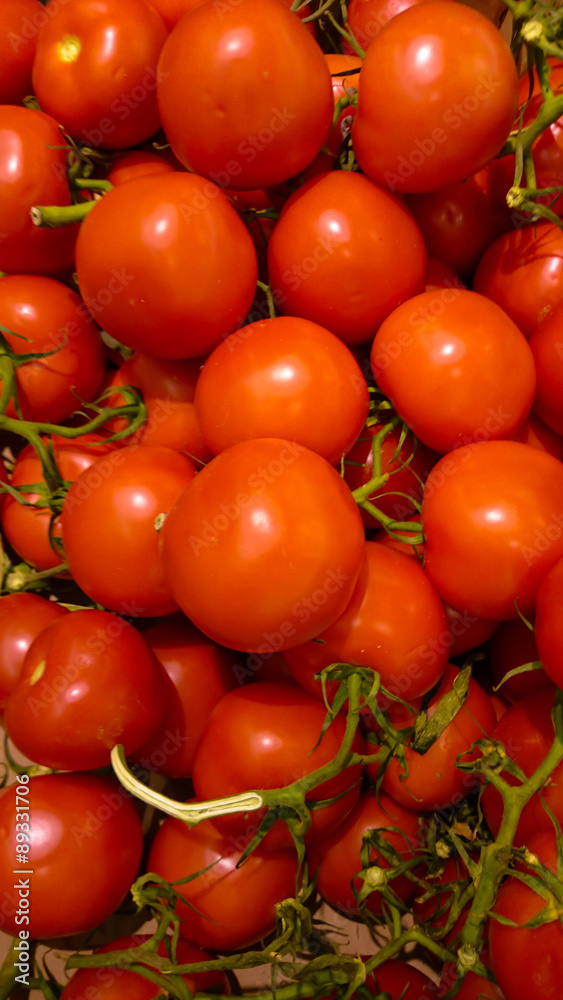 tomates 17082015