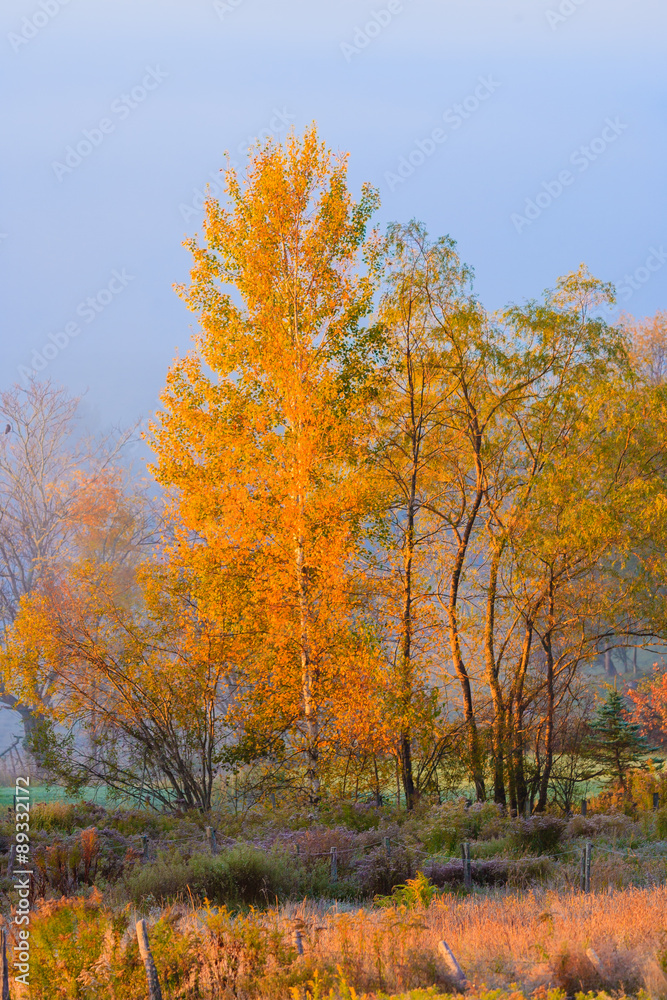 Rural country scene in the fall.