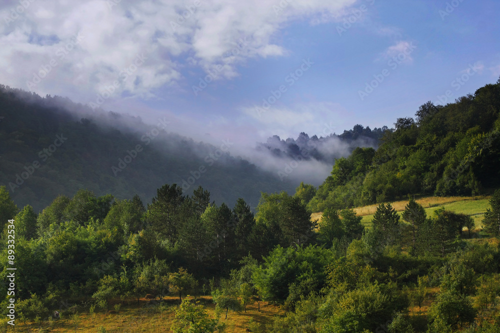 Fototapeta premium Misty morning on the hill