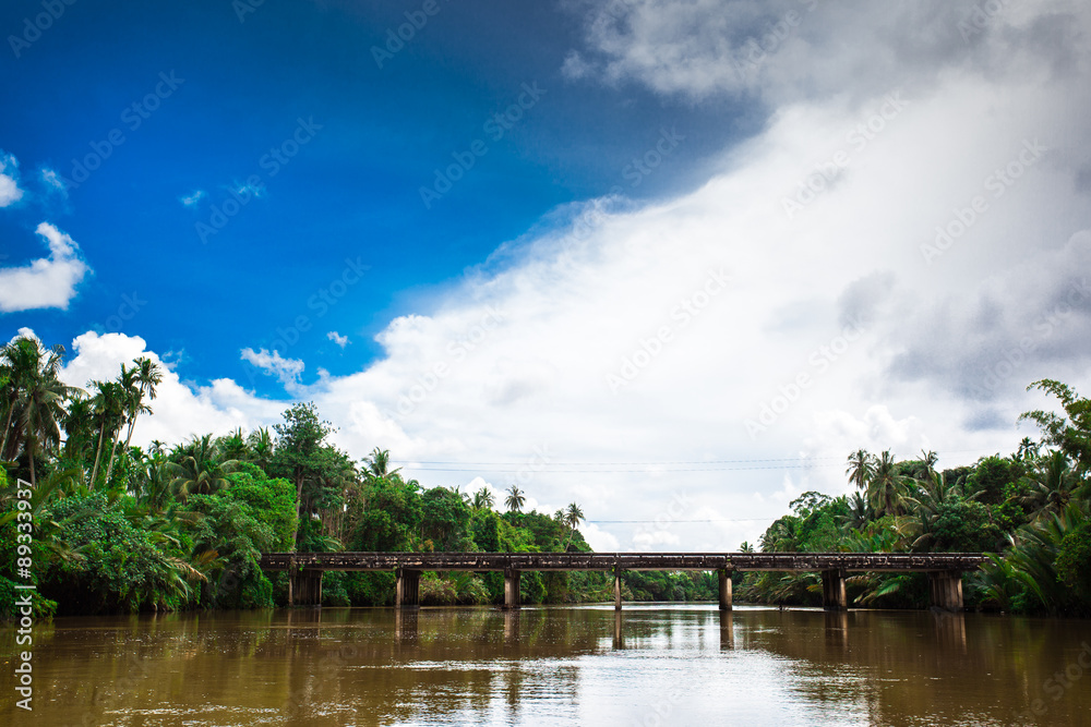 River in tropical rain forest River in tropical rain forest