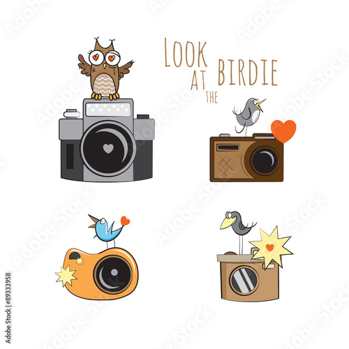 Vector set with cartoon cameras and cute birdies.