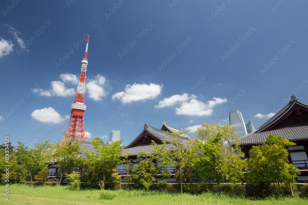 Fototapeta premium 東京タワーと青空