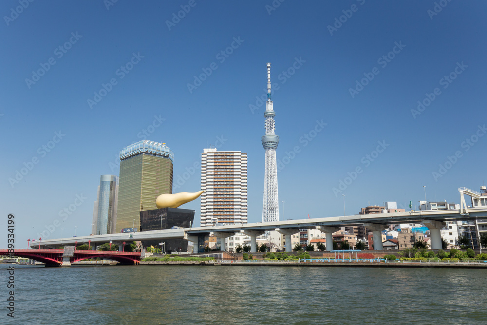 Obraz premium 隅田川と東京スカイツリー