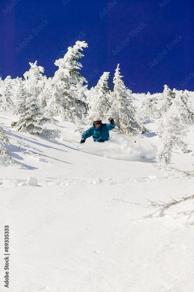 Expert skier skiing powder, Stowe, Vermont, USA