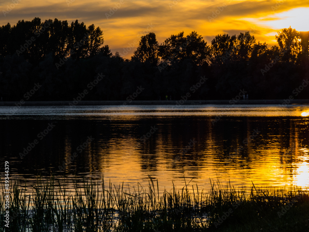 Dark silhouettes of a grass and trees with reflection in the lake at sunset