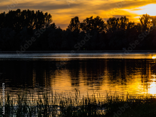 Dark silhouettes of a grass and trees with reflection in the lake at sunset