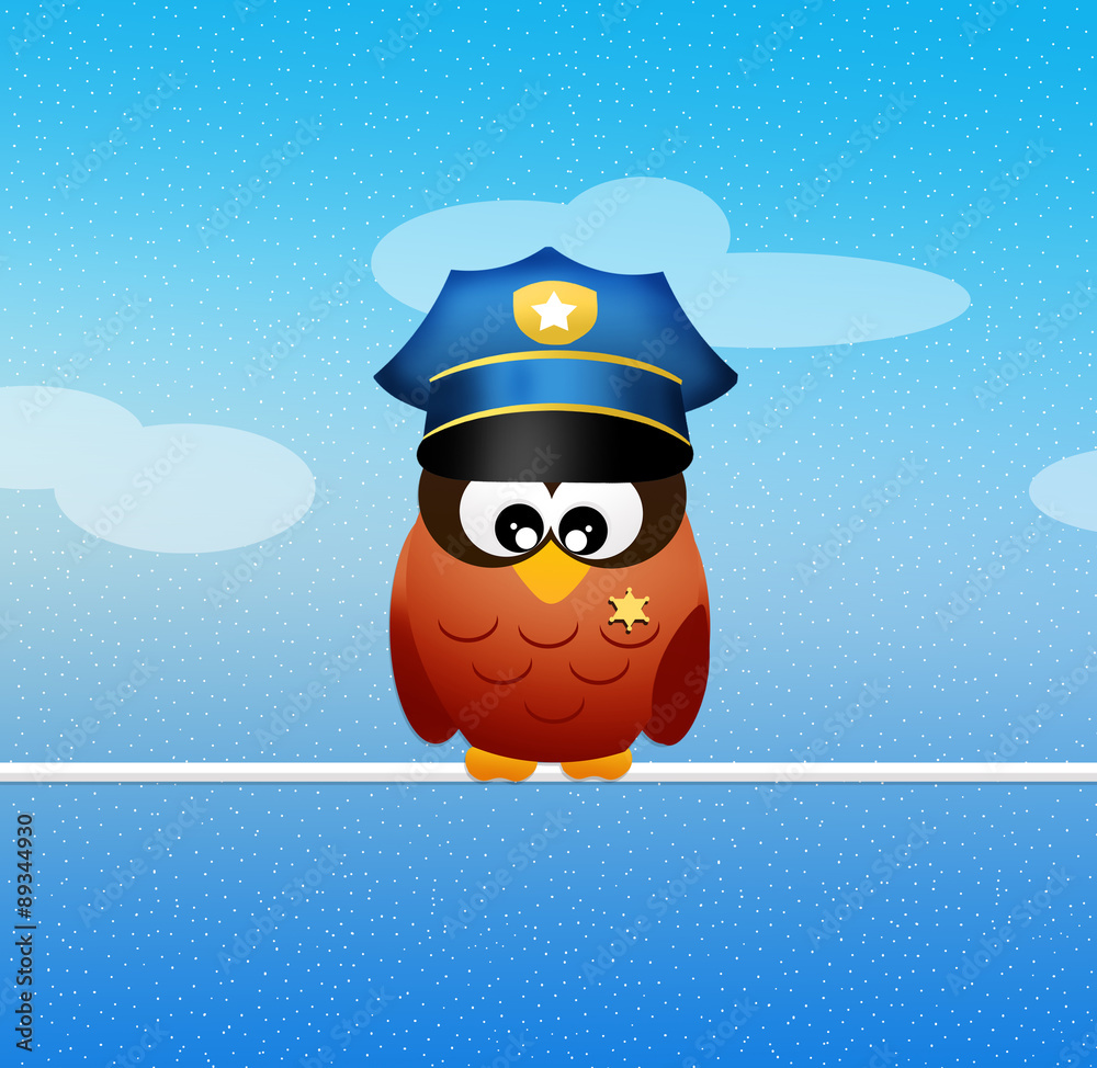 Fototapeta premium police owl