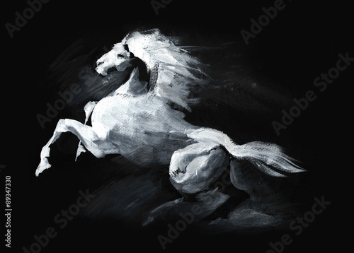 Naklejka ilustracja konia
