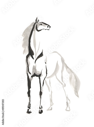 illustration of horse