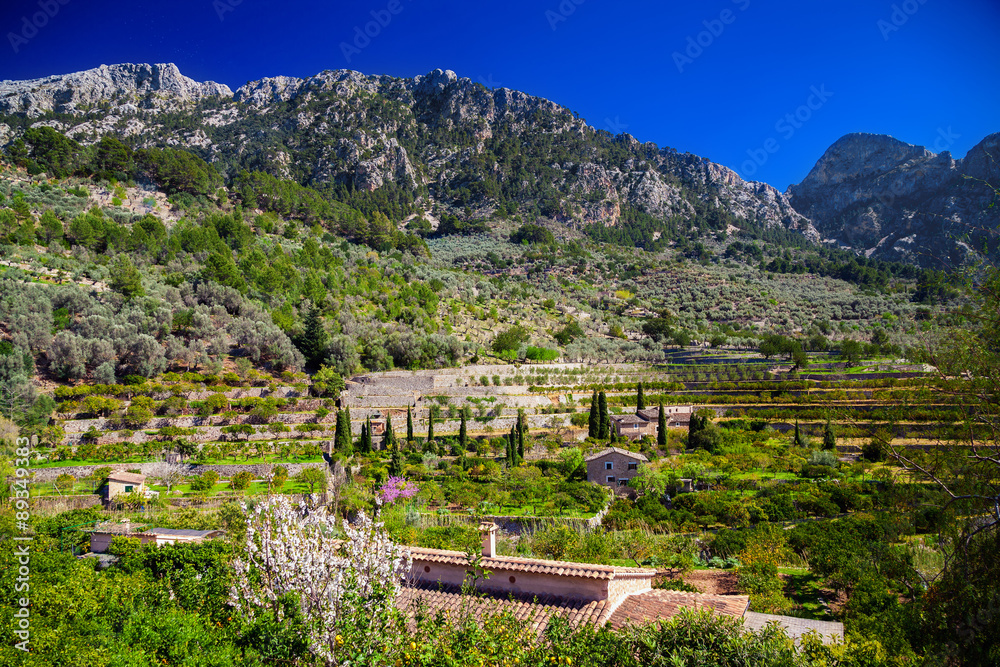 Obraz premium mountain landscape near village Fornalutx