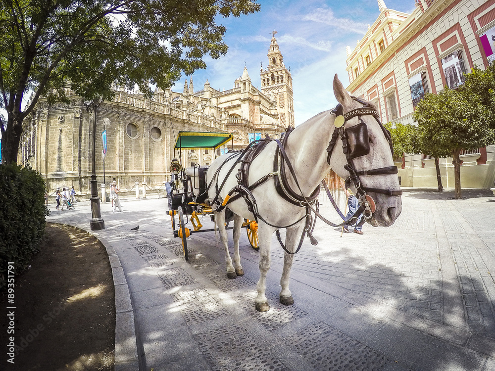 Horse carriage in Seville, with the cathedral in the background.