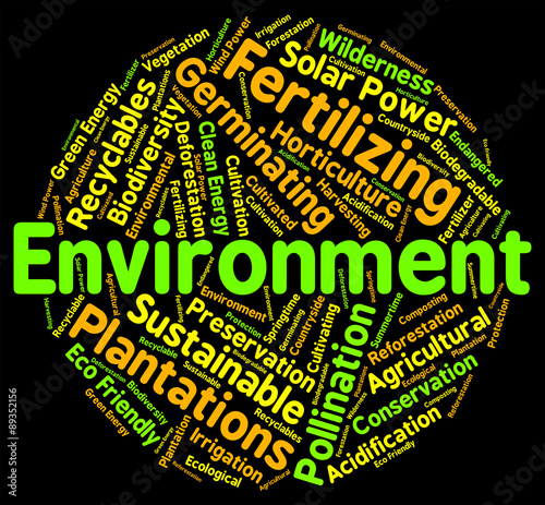 Environment Word Means Eco Systems And Ecosystem