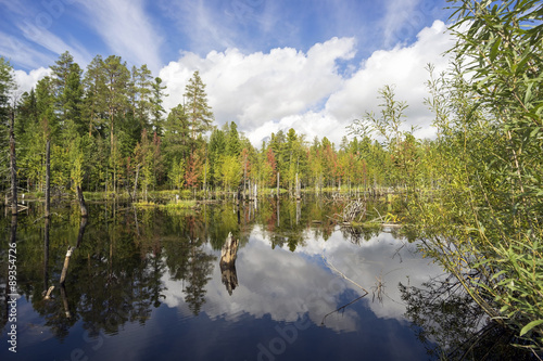 Fototapeta Naklejka Na Ścianę i Meble -  The Northern wetland landscape with lake and clouds