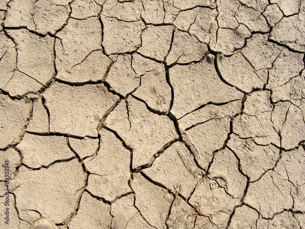 the texture of the earth the texture of the earth