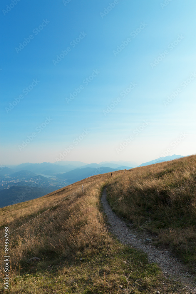 mountain meadows