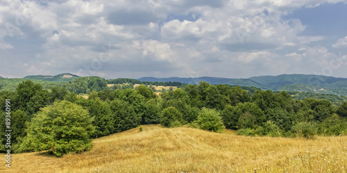 Summer landscape panorama with green forest meadow and blue clou © ciolanescu