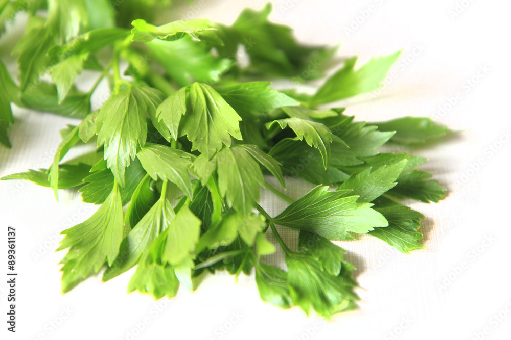 Obraz premium lovage plant