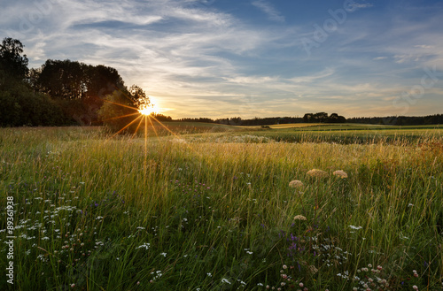Fototapeta Naklejka Na Ścianę i Meble -  Sunset on a field in Finland