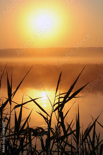 Misty morning on a small river