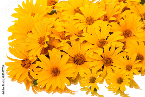 Fototapeta Naklejka Na Ścianę i Meble -  Yellow daisies on a white