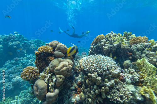 Underwater coral reef with cameraman