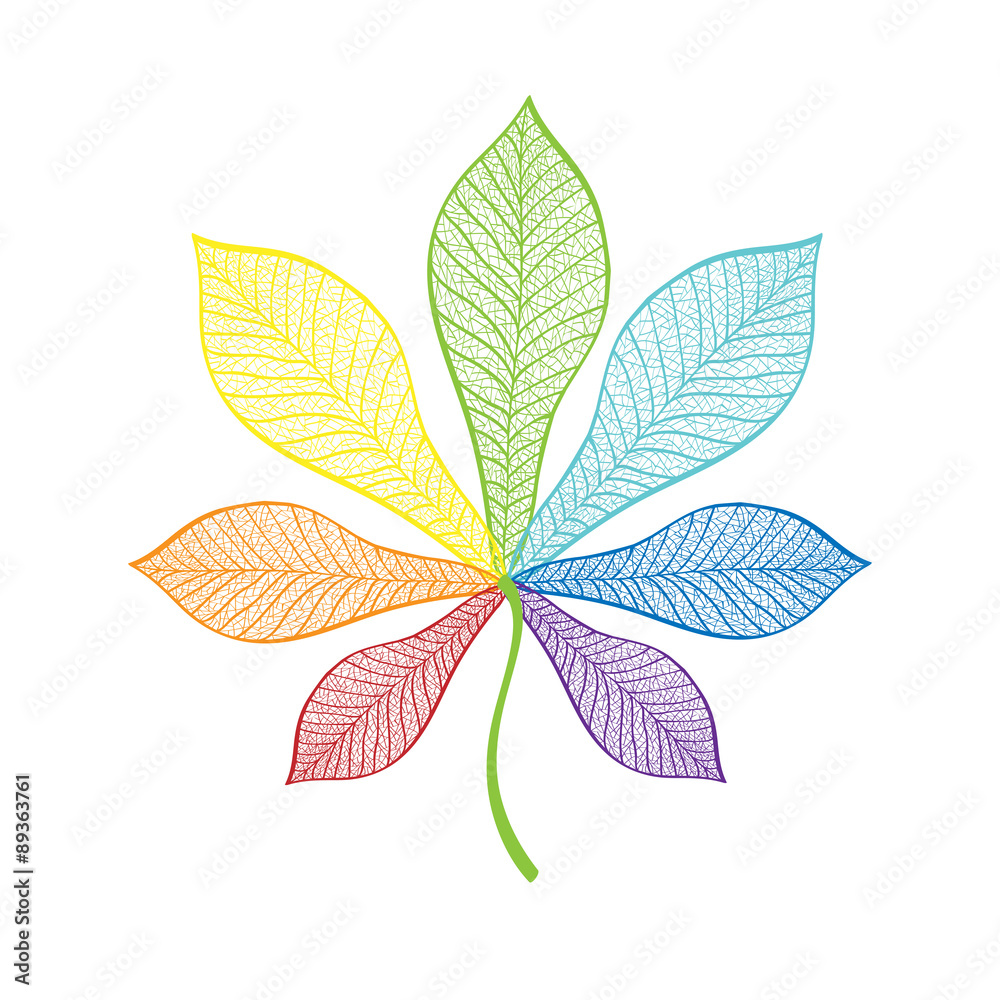 lace rainbow chestnut leaf lace rainbow chestnut leaf