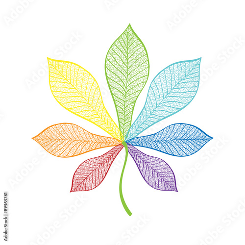 lace rainbow chestnut leaf 