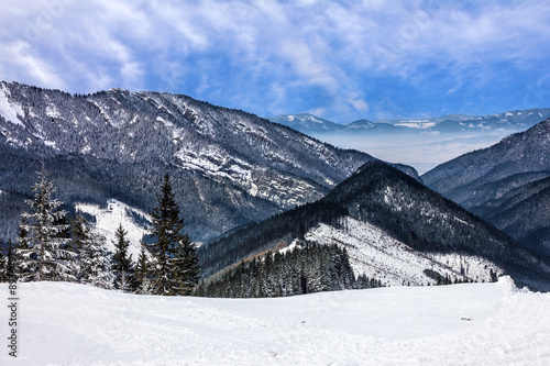 Winter Tatry landscape, forest, Slovakia © Travel Faery